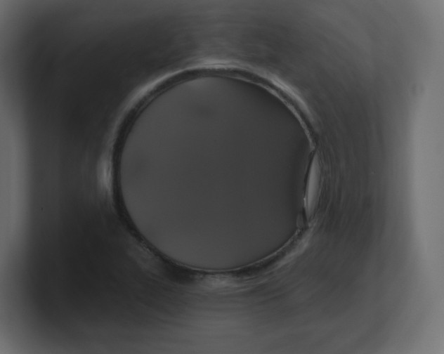 X0000100371319200806271436