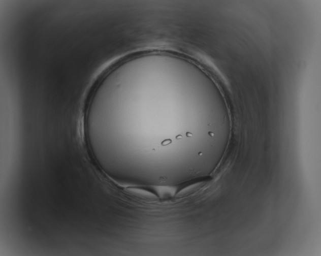 X0000100371320200806271436