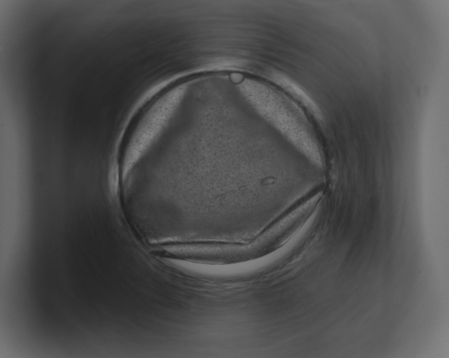 X0000100371324200806271436