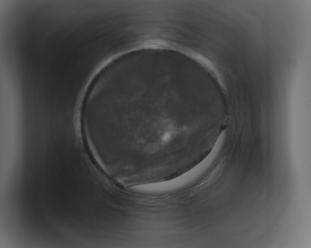 X0000100371326200806271436