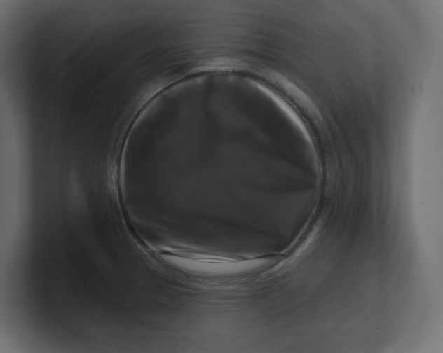 X0000100371329200806271436