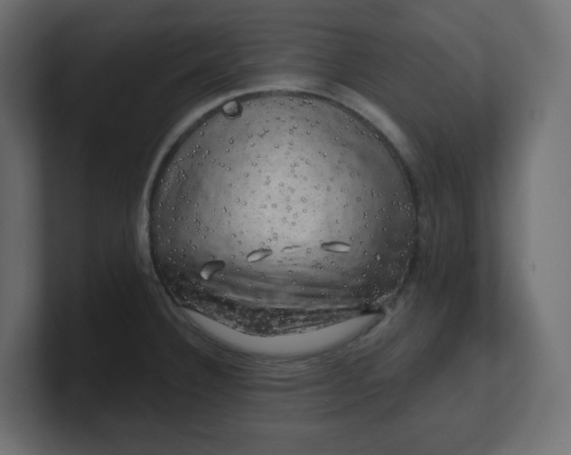 X0000100371332200806271436