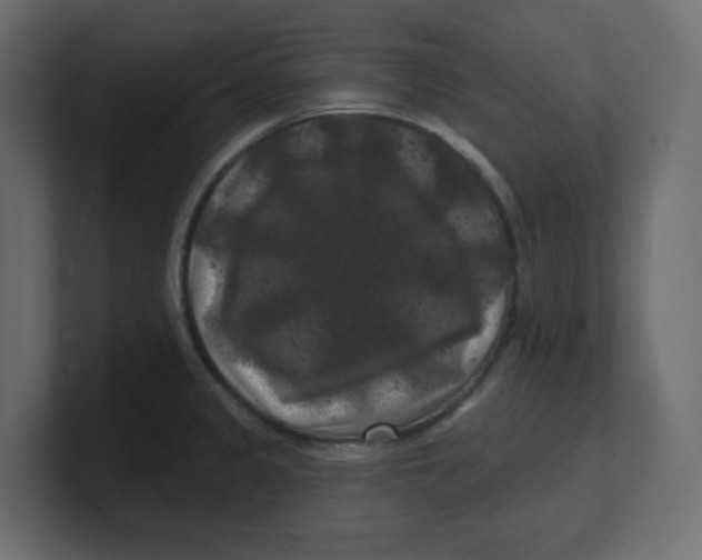 X0000100371333200806271436