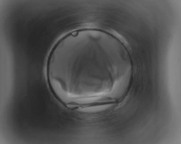 X0000100371334200806271436