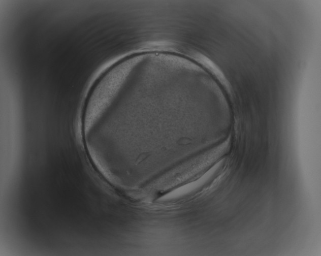 X0000100371336200806271436