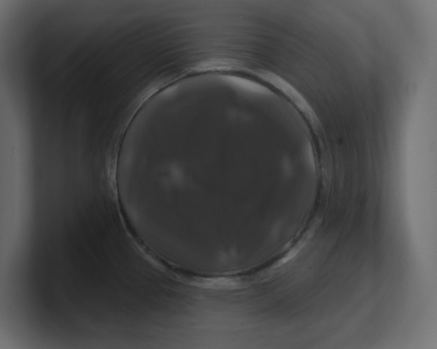 X0000100371337200806271436