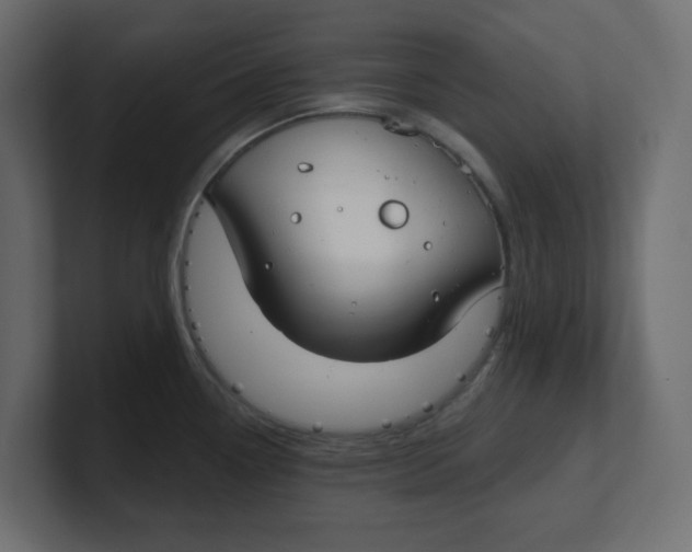 X0000100371338200806271436