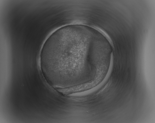 X0000100371340200806271436