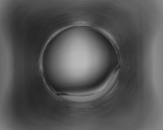 X0000100371342200806271436