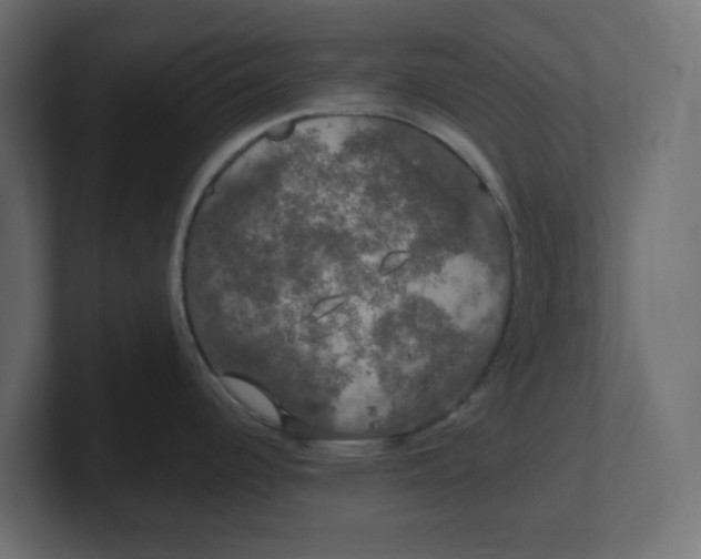 X0000100371344200806271436