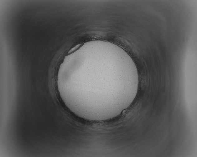 X0000100371345200806271436