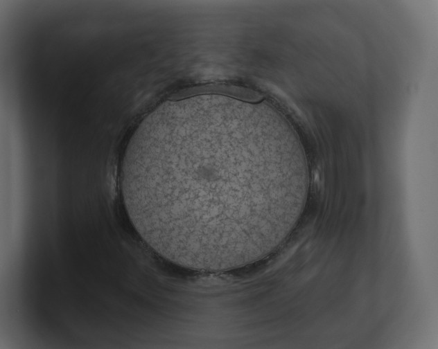 X0000100371348200806271436