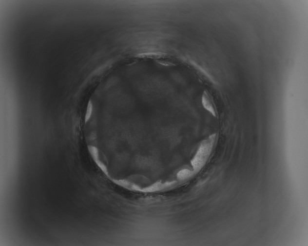 X0000100371351200806271436