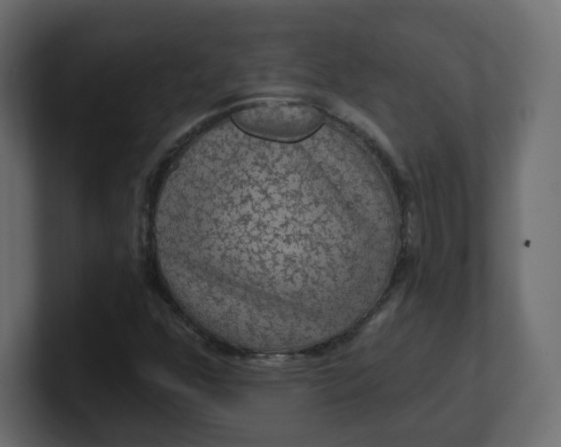 X0000100371352200806271436