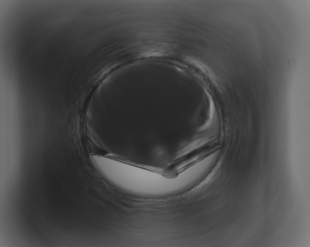 X0000100371353200806271436