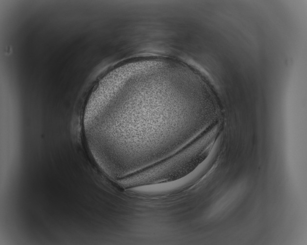 X0000100371355200806271436