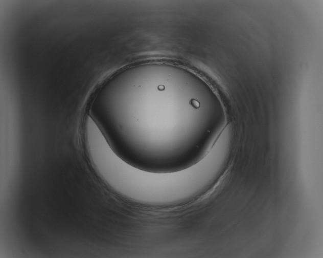 X0000100371357200806271436