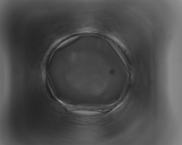 X0000100371358200806271436