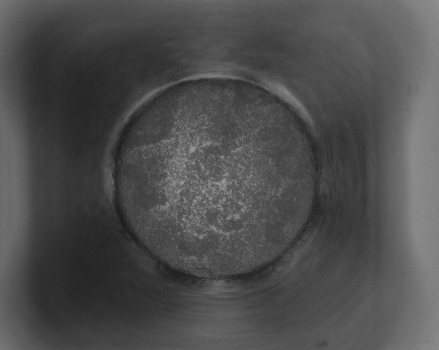 X0000100371360200806271436