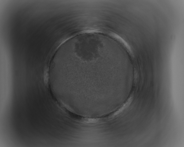 X0000100371361200806271435