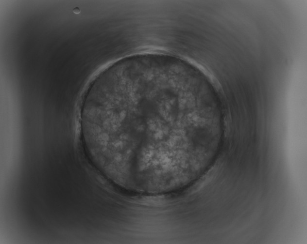 X0000100371363200806271435