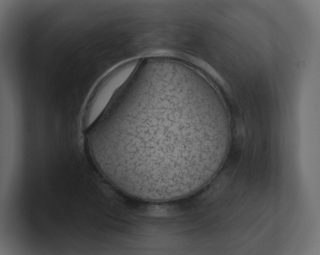 X0000100371364200806271435