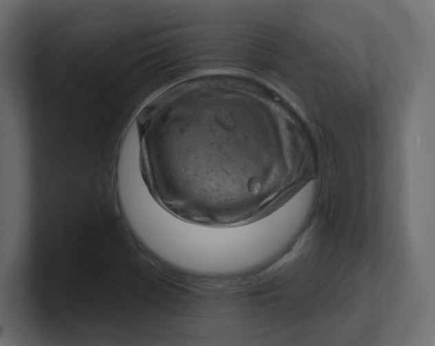 X0000100371369200806271435