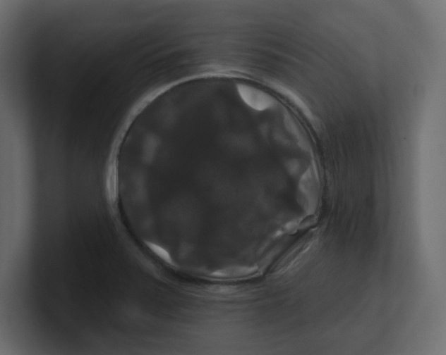 X0000100371371200806271435