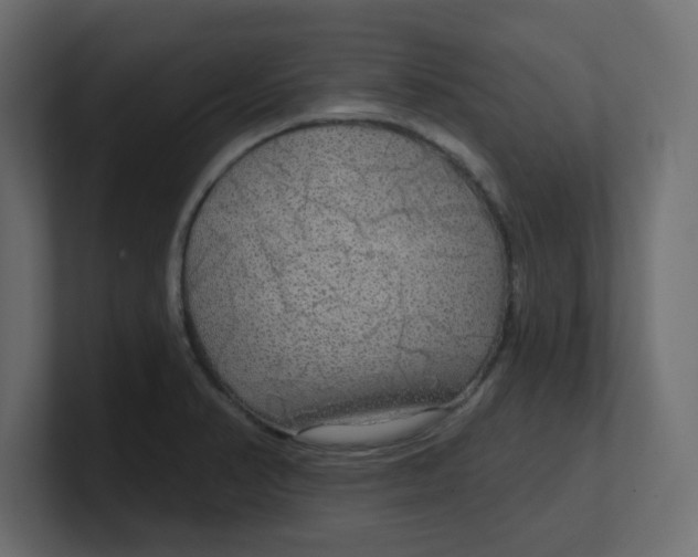 X0000100371374200806271435