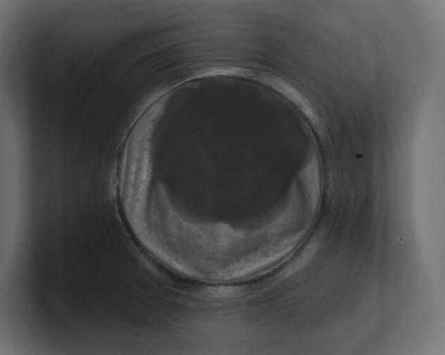 X0000100371377200806271435