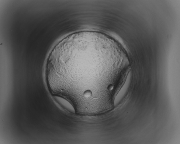 X0000100371379200806271435