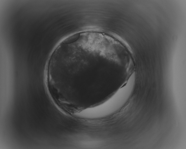 X0000100371383200806271435