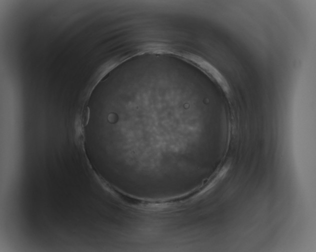 X0000100371385200806271435