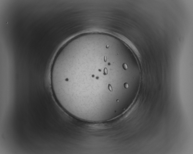 X0000100371388200806271435