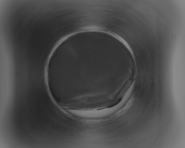 X0000100371389200806271435