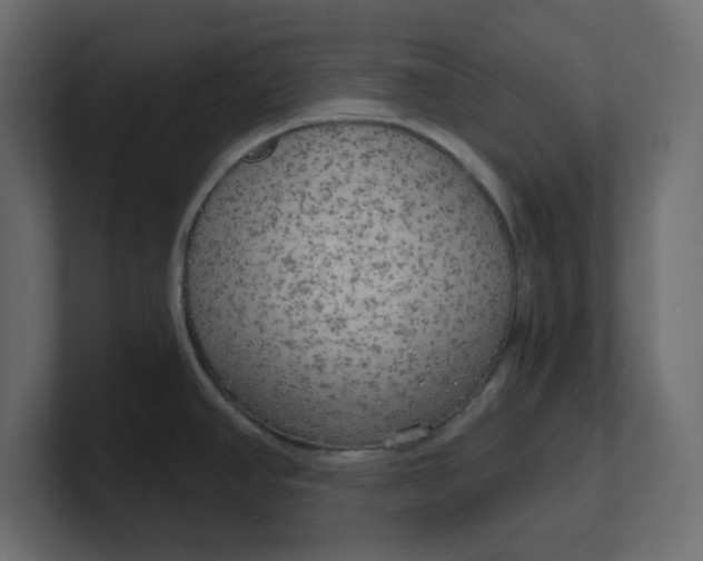 X0000100371390200806271435