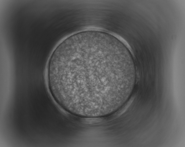 X0000100371391200806271435