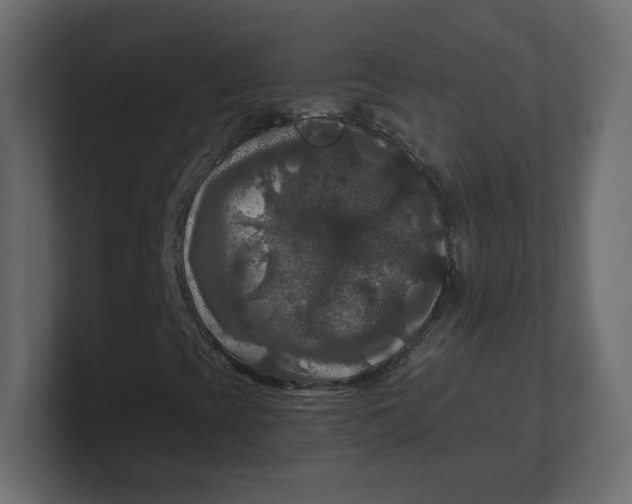 X0000100371393200806271434