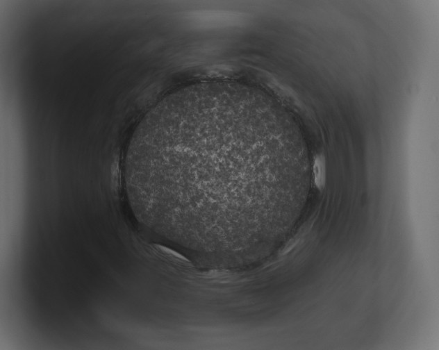 X0000100371395200806271434