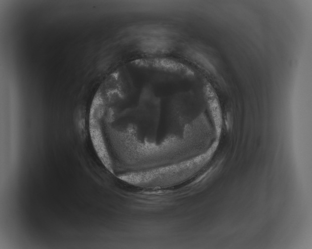 X0000100371396200806271434