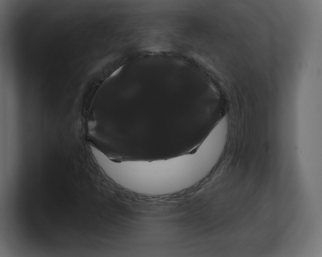 X0000100371398200806271435