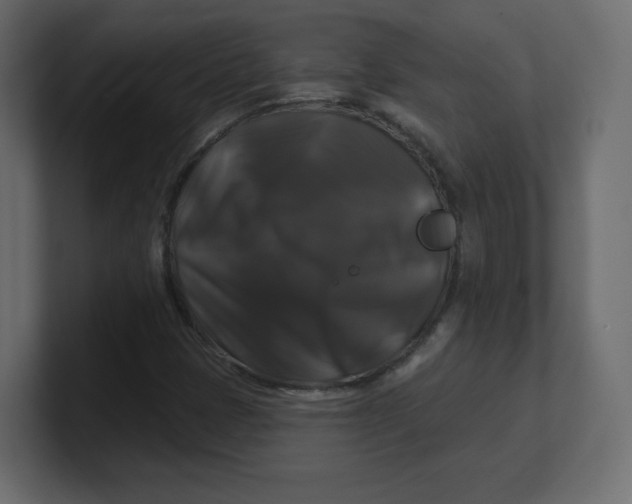 X0000100371401200806271435