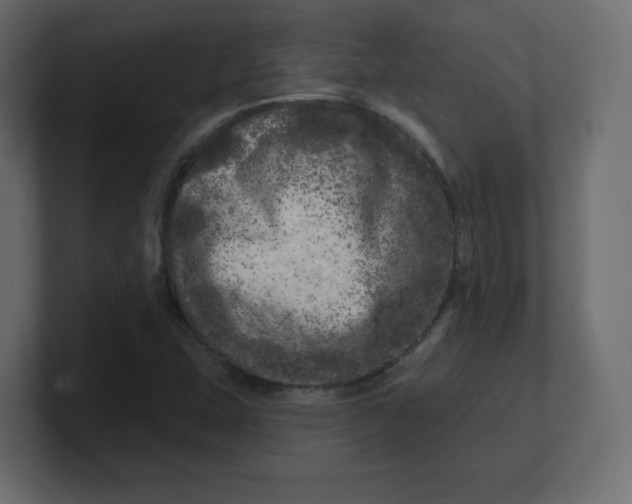 X0000100371407200806271435