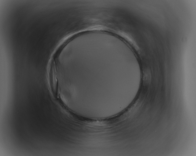 X0000100371414200806271435