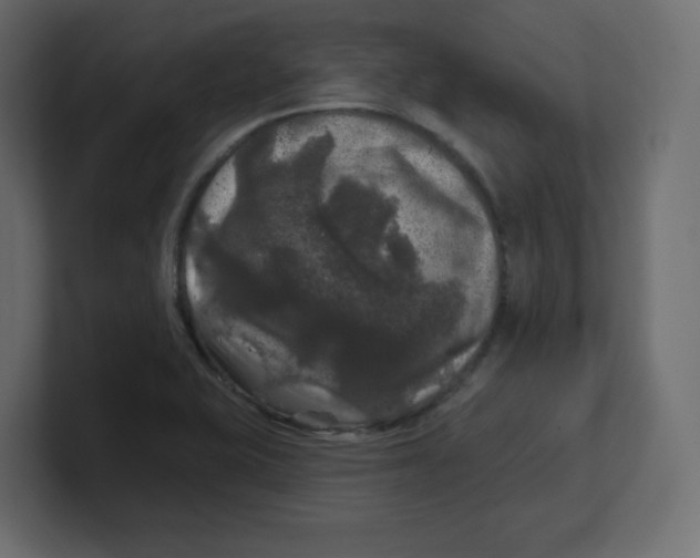 X0000100371415200806271435