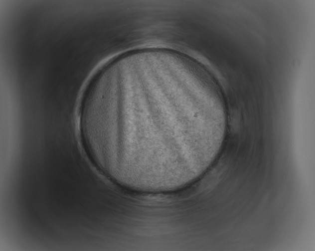 X0000100371416200806271435