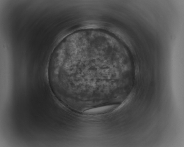 X0000100371417200806271435