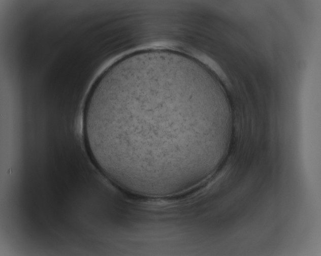 X0000100371420200806271435