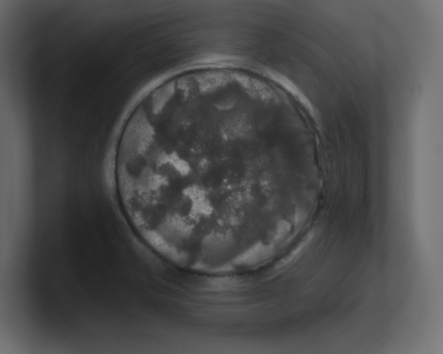 X0000100371421200806271435