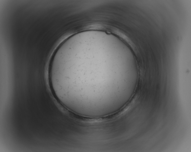 X0000100371426200806271435